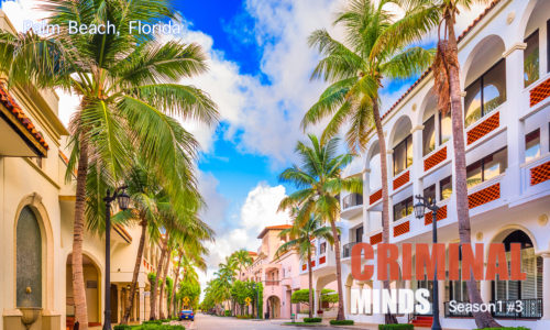 クリミナル・マインド／FBI vs. 異常犯罪 シーズン1　第3話 パームビーチの爆弾魔