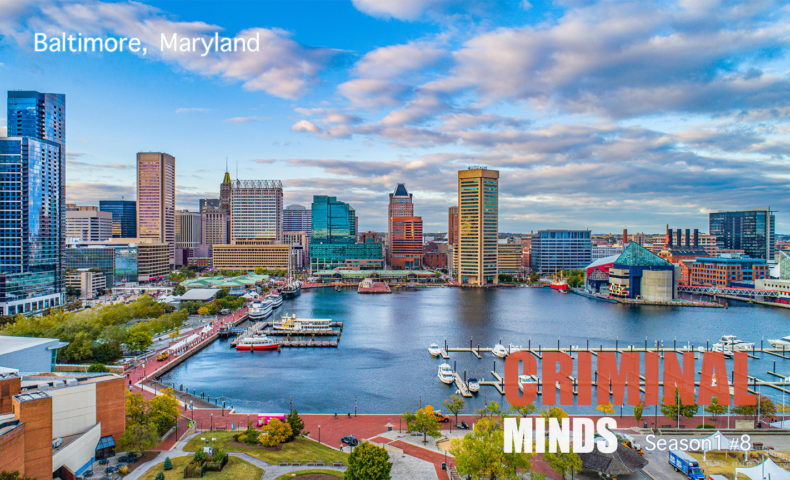 クリミナル・マインド／FBI vs. 異常犯罪 シーズン1　第8話　ナチュラル・ボーン・キラー