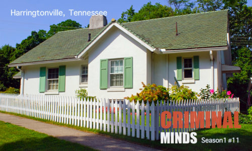 クリミナル・マインド／FBI vs. 異常犯罪 シーズン1　第11話　テネシーの吸血鬼