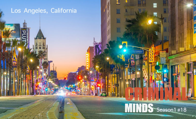 クリミナル・マインド/FBI vs. 異常犯罪 シーズン1 第18話 恋に落ちた捜査官