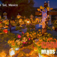 クリミナル・マインド/FBI vs. 異常犯罪 シーズン1 第19話 メキシコの猟奇犯